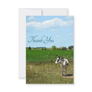 Donkey in a Field Thank You Card
