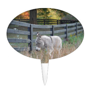 Donkey in an Autumn Field Cake Topper
