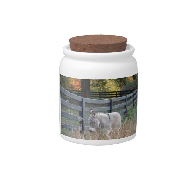 Donkey in an Autumn Field Candy Jar (Front)