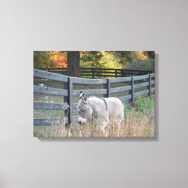 Donkey in an Autumn Field Canvas Print (Front)