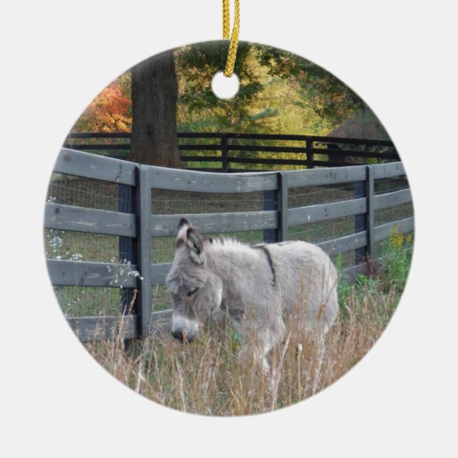 Donkey in an Autumn Field Ceramic Ornament (Front)