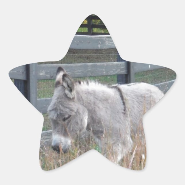 Donkey in an Autumn Field Star Sticker (Front)