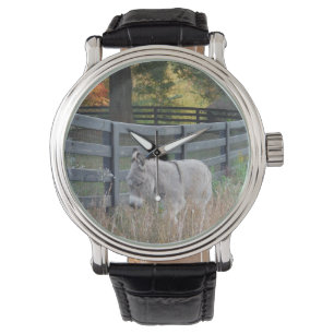 Donkey in an Autumn Field Watch