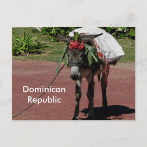 donkey in Dominican Republic on a postcard