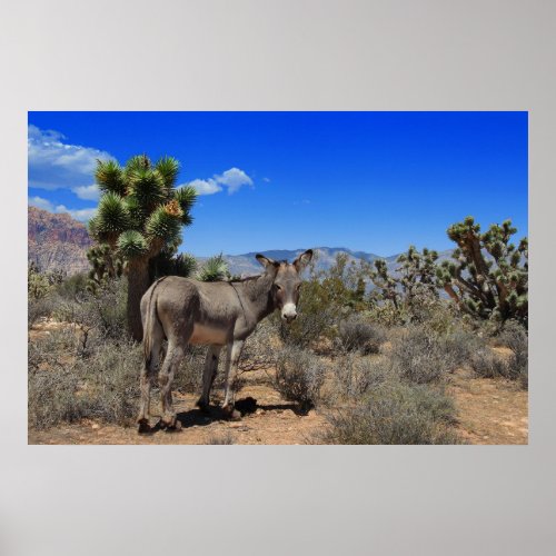 Donkey In the Desert in Las Vegas NV Poster