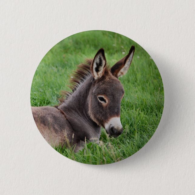Donkey In The Grass Button (Front)