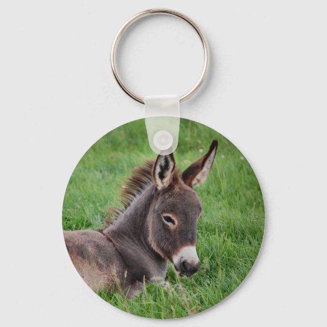 Donkey In The Grass Keychain (Front)