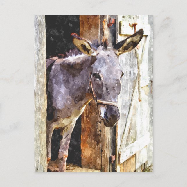 Donkey in watercolor postcard (Front)