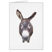 Donkey In Your Face (Front)