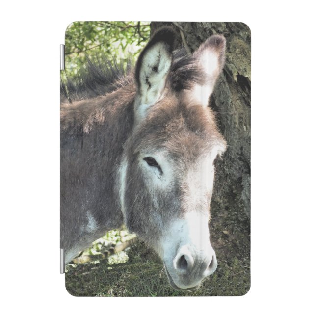 DONKEY   iPad MINI COVER (Front)