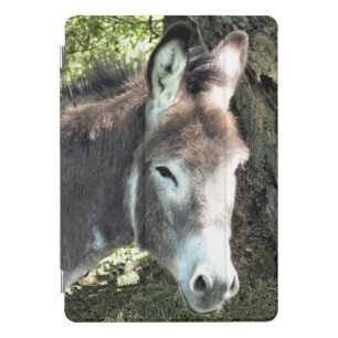 DONKEY   iPad PRO COVER