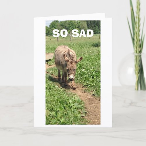 DONKEY IS SAD AND BLUE _ LIFE WITHOUT YOU CARD