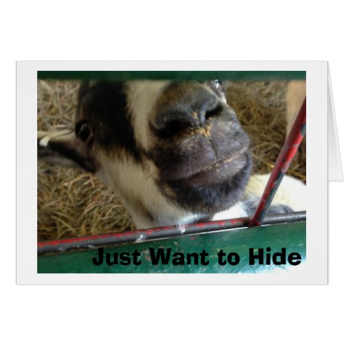 DONKEY JUST WANTS TO HIDE MISSES YOU LIKE CRAZY