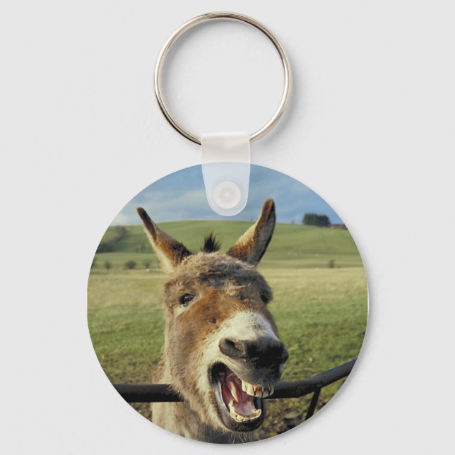 Donkey Keychain (Front)