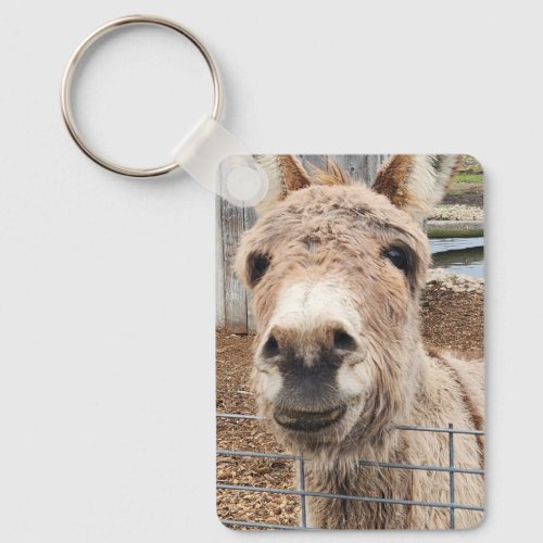 Donkey Keychain