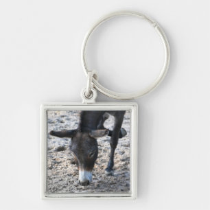 Donkey Keychain