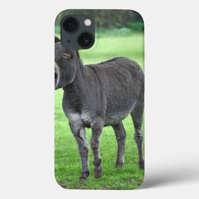 Donkey Laugh iPad Mini Case (Back)