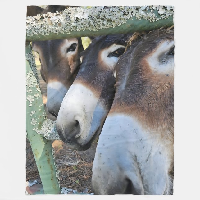 Donkey Love Fleece Blanket, Large 60" x 80" (Front)