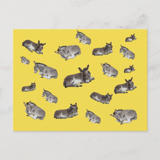 Donkey Mania Postcard (Front)