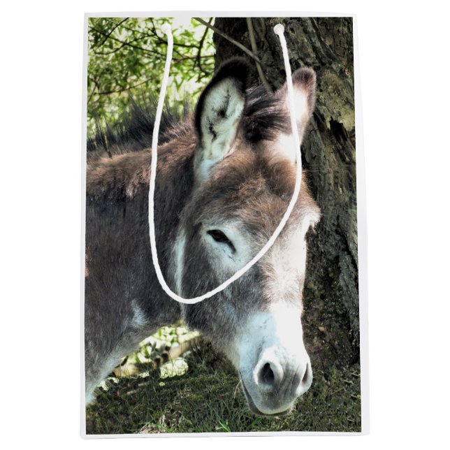 DONKEY MEDIUM GIFT BAG (Front)