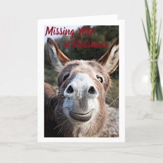 DONKEY MISSES HIS OR HER **BROTHER** VERY SAD HOLIDAY CARD