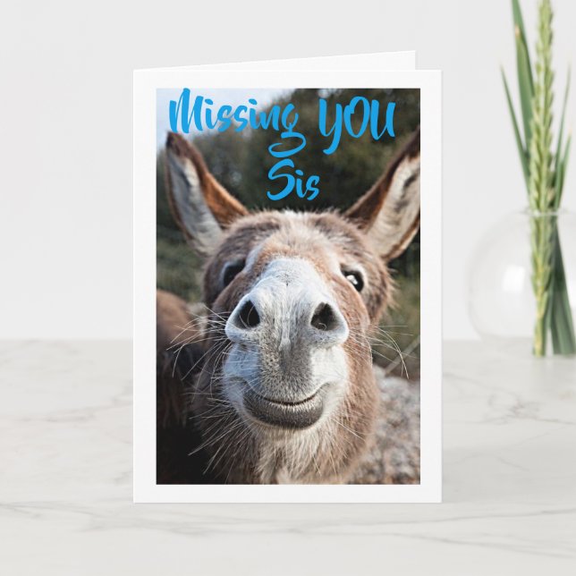 DONKEY MISSES ***SIS*** NOT VERY HAPPY ABOUT THAT CARD (Front)