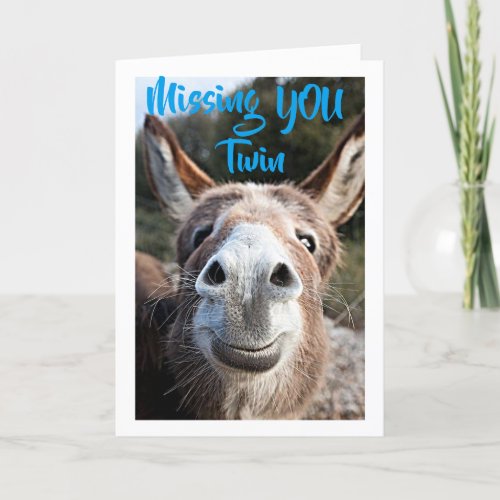 DONKEY MISSES TWIN NOT VERY HAPPY ABOUT THAT CARD