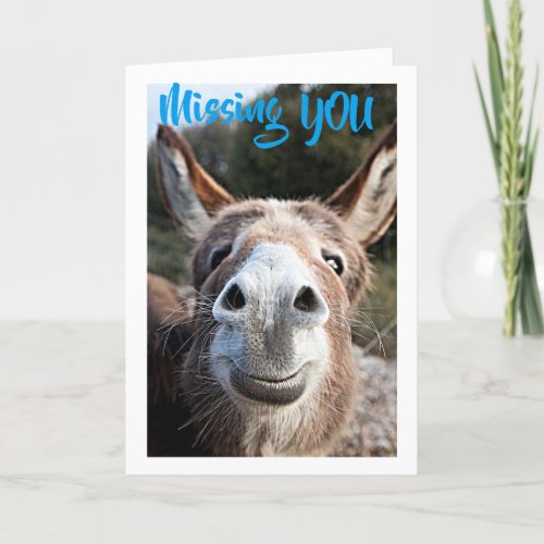 DONKEY MISSES YOU NOT VERY HAPPY ABOUT THAT CARD