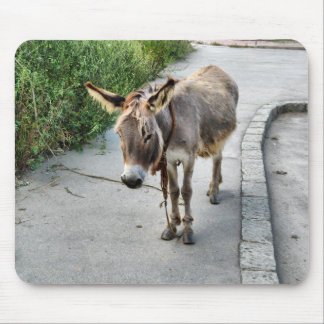 Donkey mousepad