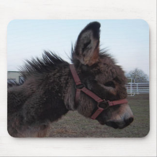 Donkey Mousepad