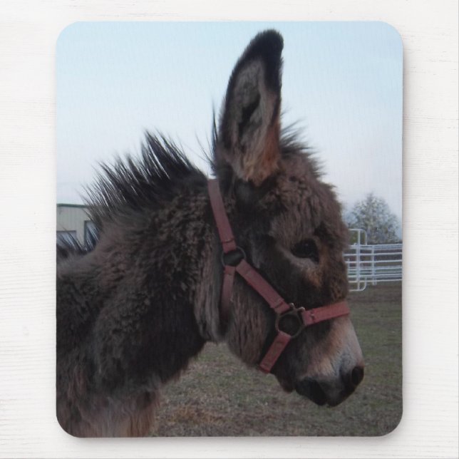 Donkey Mousepad (Front)