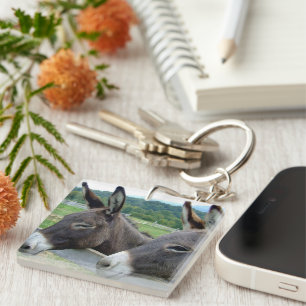 Donkey Mule Farm Animal Country Destiny Keychain