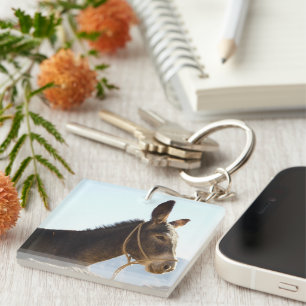Donkey Mule Farm Animal Country Destiny Keychain