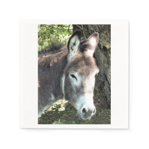 DONKEY NAPKINS