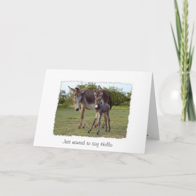 donkey new born card (Front)