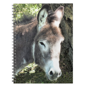 DONKEY NOTEBOOK