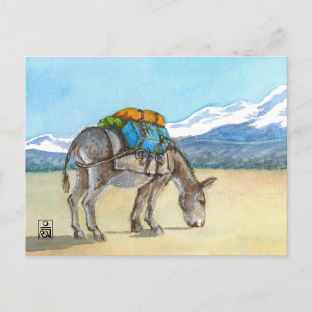 Donkey on High Plateau, South America Postcard (Front)