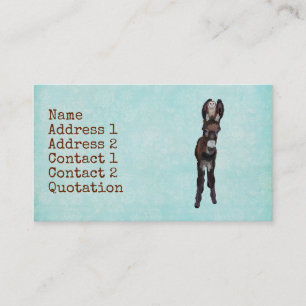 DONKEY & OWL Business Card