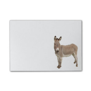 Donkey Painting Design Post-it Notes
