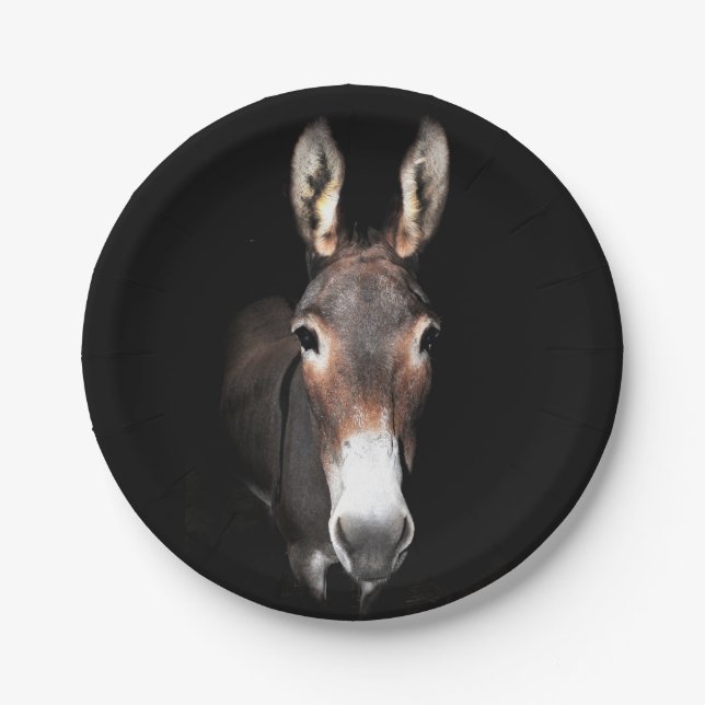 Donkey Paper Plates (Front)