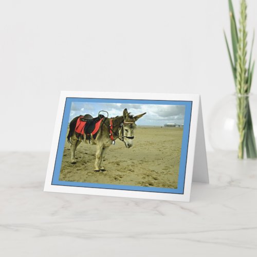 Donkey Photo Greetings Card
