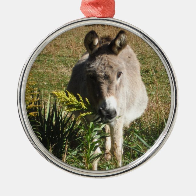 Donkey Picking Yellow Autumn Wildflowers Metal Ornament (Front)