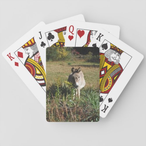 Donkey Picking Yellow Autumn Wildflowers Poker Cards