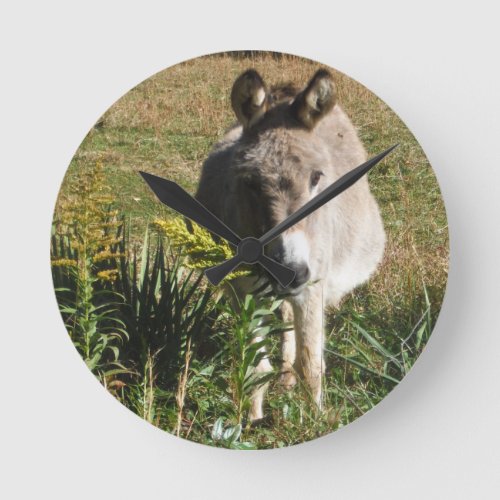 Donkey Picking Yellow Autumn Wildflowers Round Clock