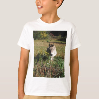 Donkey Picking Yellow Autumn Wildflowers T-Shirt