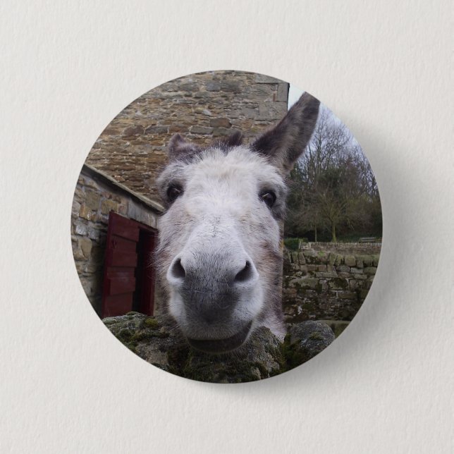 Donkey Pinback Button (Front)