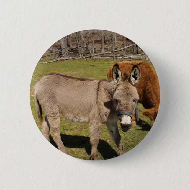 Donkey Pinback Button (Front)