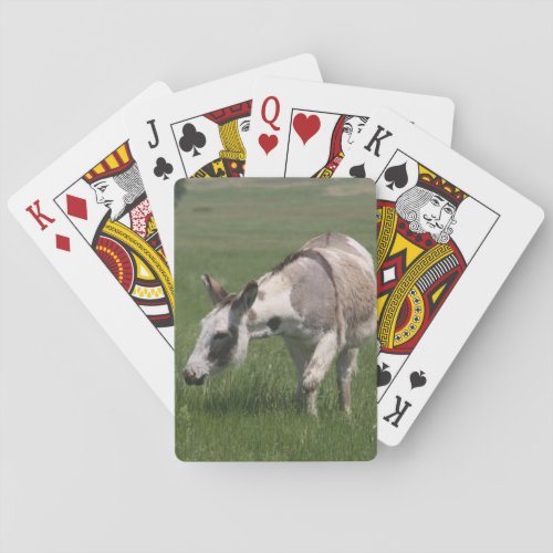 Donkey Playing Cards
