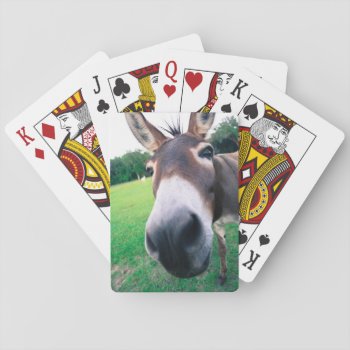 Donkey Playing Cards by TRowanDesign at Zazzle