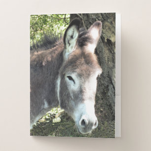 DONKEY POCKET FOLDER
